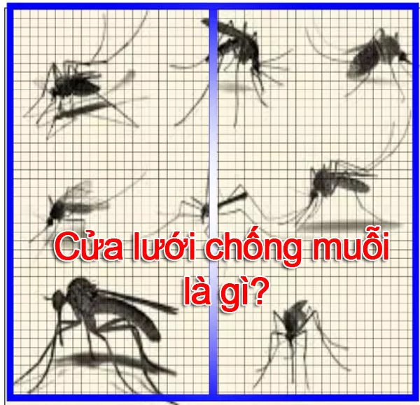Xu hướng mới trong thiết kế cửa lưới chống côn trùng hiện nay - Khám Phá Những Đột Phá Sáng Tạo
